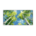 Looking Up Spring Birch Forest Abstract Painting