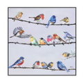 Vibrant Songbirds Gathering Painting #H0651
