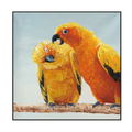 Golden Parrot Companionship Painting #I3724