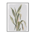 Graceful Leaves Minimal Plant Art #M6752